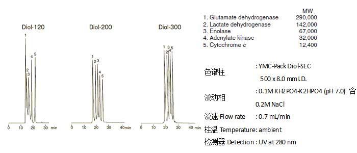 分子量一萬到幾十萬的蛋白質分離